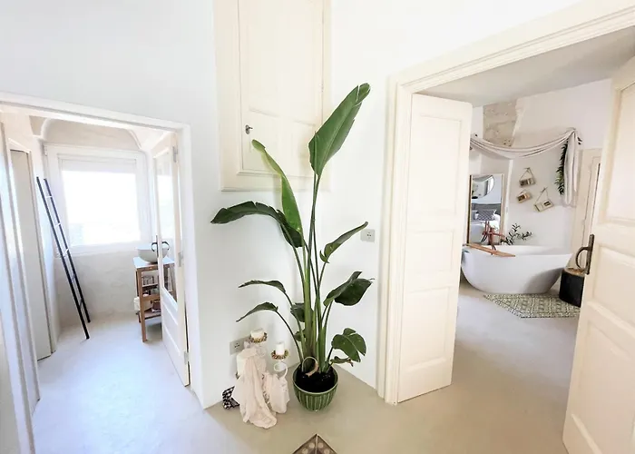 Sami Charming * 오스투니